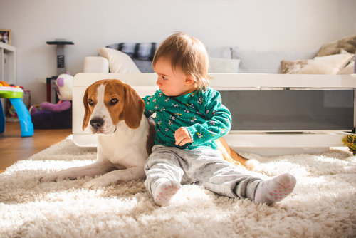 CHILD & PET-PROOFING YOUR HOME